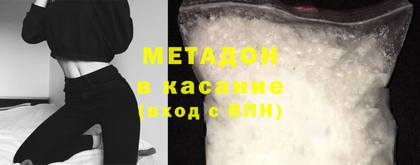 прущие грибы Лабытнанги